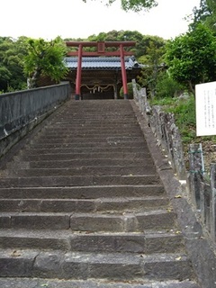 41 ryuukouzi 15.jpg