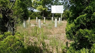 hakata 31.jpg