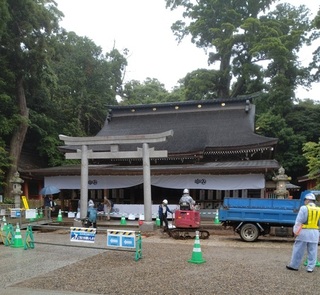 kasima 50.jpg