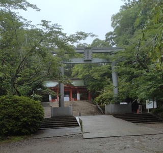katori 30.jpg