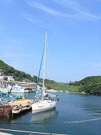 kawauso 02.jpg