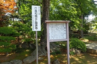 kobanawazyo 01.jpg