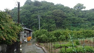 kuroiwa 12.jpg
