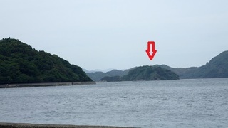 nakazimazyo 50.jpg