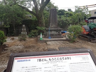 saigonanshu 21.jpg