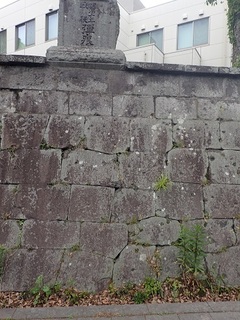 saigounanshu 19.jpg
