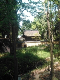 sakaide kanndfani 01.jpg