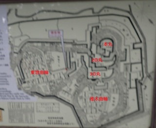 sakurazyo 20.jpg
