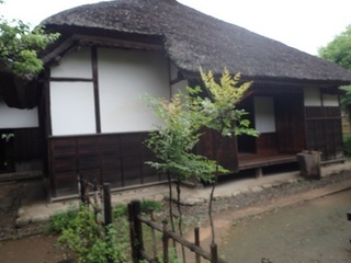 sakurazyo 70.jpg