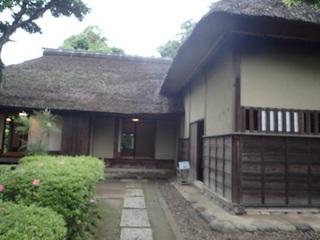 sakurazyo 80.jpg
