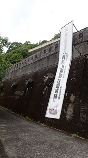 wakasugi 30.jpg