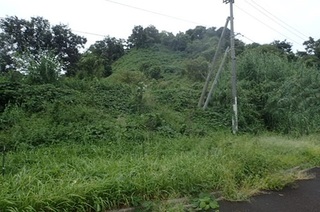 yamasiro 10.jpg