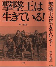 acepilot japan.png
