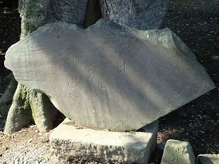 bashoukuhi77.jpg