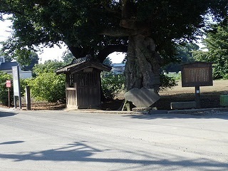 bashoukuhi78.jpg