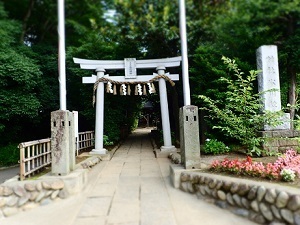 hikawa77.jpg