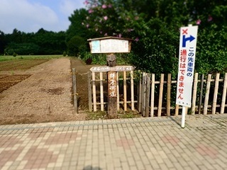 hunenomiti77.jpg