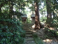 isidozinnzya02.jpg