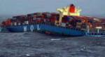 mol comfort.jpg