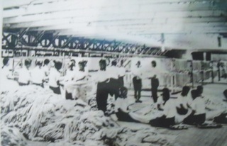 noborito c.jpg