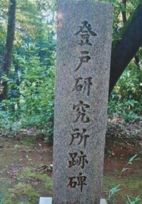 noborito f.jpg