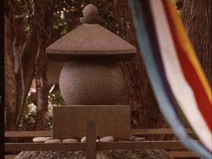 noriyori izu.jpg