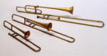sacbat.jpg