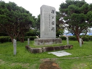 sakurao 03.jpg