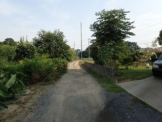 taisidouwakimiti66.jpg