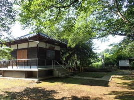 toukouzikabazakura.jpg