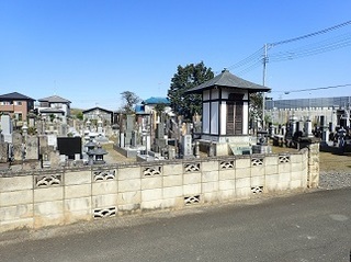zinya 03.jpg